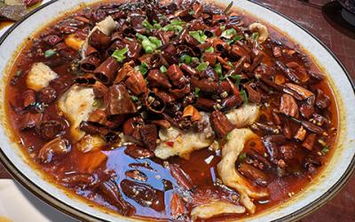 成都涼拌菜培訓(xùn)如何選擇？學(xué)習(xí)涼菜技術(shù)哪里好