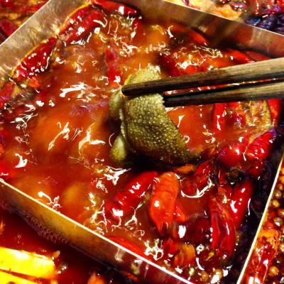 成都火鍋培訓(xùn)多少錢？ 成都火鍋培訓(xùn)多少錢？