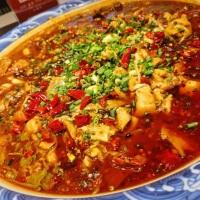 重慶來鳳魚培訓學校哪家好？深度解析蜀味緣為何備受青睞